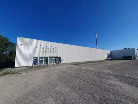 local d'activites a louer