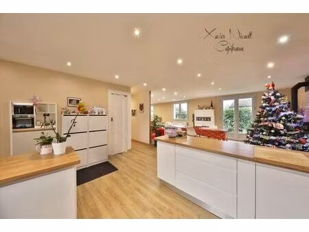 vente maison 4 pièces 114 m² meillonnas (01370)