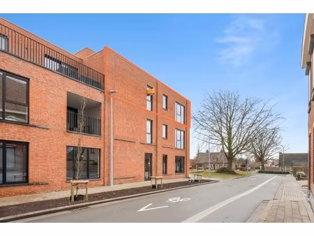 appartement te huur in deerlijk met 1 slaapkamer