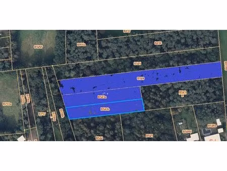 woeste grond gelegen tussen molenveld en misseweg te balen