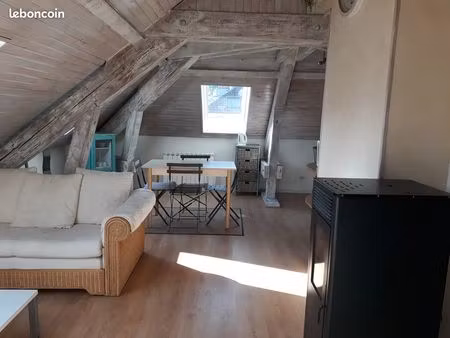 appartement f2 meublé 24 m2 carrez  50 m2 au sol