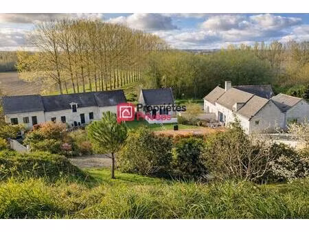 propriété avec gîtes - proche azay le rideau -12 pièce(s) 274 m2