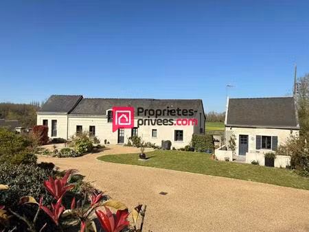 propriété avec gîtes - proche azay le rideau -12 pièce(s) 274 m2
