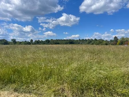 terrain à bâtir à pompéjac (33730)