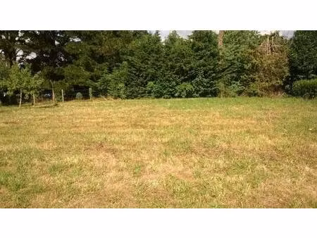 terrain à bâtir à castelnau-de-médoc (33480)