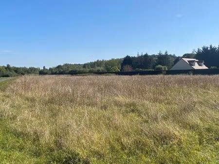 achat terrain 2 860m² chatillon sur cher 41130