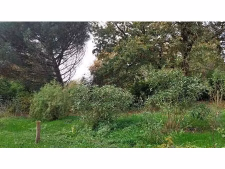 terrain dans secteur privilégié