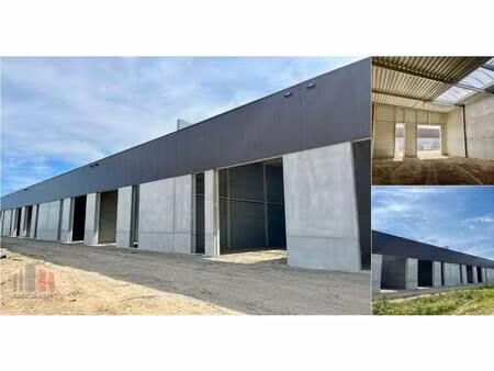 surface industrielle à vendre à stadsbeemd 1317 halen (rbv26034)