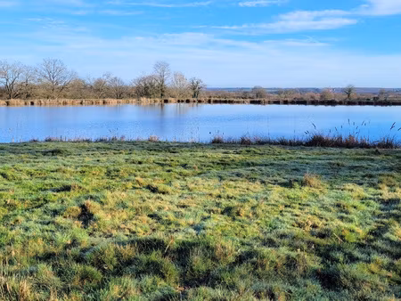 achat terrain 24 834m² torfou 49660