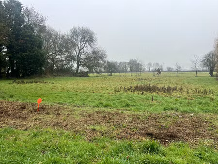 achat terrain 2 807m² ligne 44850