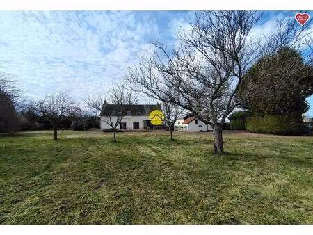 vente maison 8 pièces 200 m² sancoins (18600)