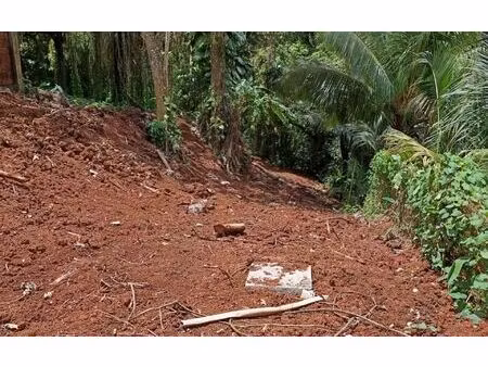 terrain le robert m² t- à vendre  235 000 €