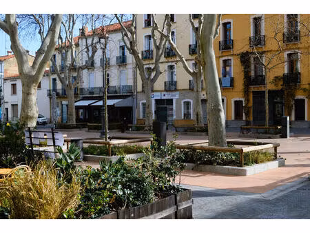 vente appartement 3 pièces 76m2 perpignan 66000 - 50000 € - surface privée