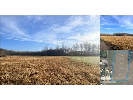 terrain à vendre à haverstraat 17 wijgmaal (rbv25868)