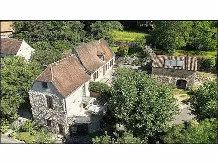 ensemble immobilier  maison  gîte  annexe  jardin