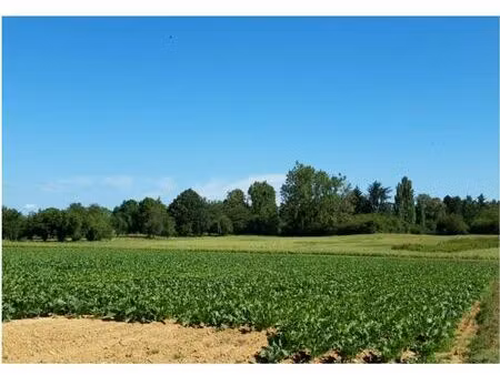 terrain à bâtir de 439 m² à boullay-les-troux (91)