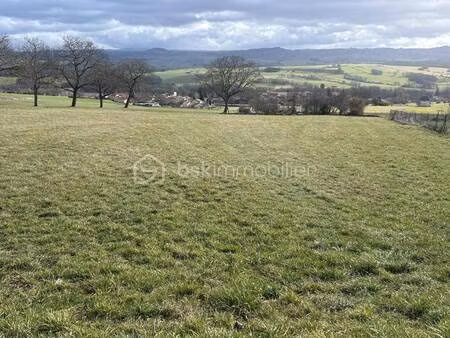 yannick cervelli bsk immobilier