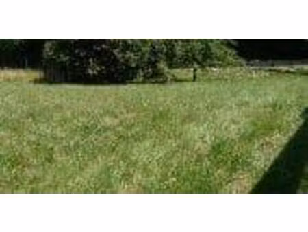 terrain constructible viabilisé à vendre