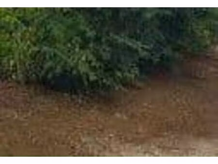 terrain constructible à vendre