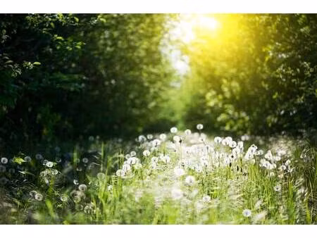 terrain constructible viabilisé à vendre