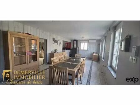 opportunité rare habitation  local commercial & hangar sur