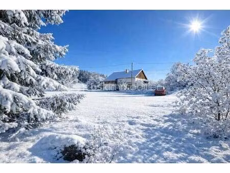 restaurant à vendre