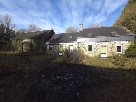 meilleur conseil immo