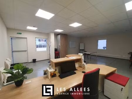 immobilière les allées