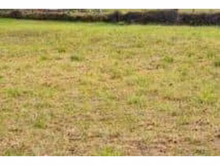 terrain constructible viabilisé à vendre