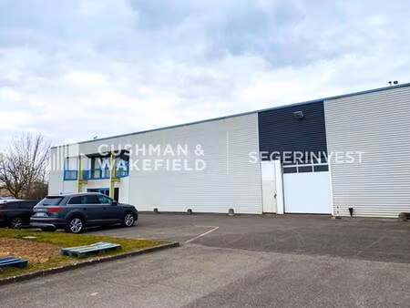 local d'activités à louer