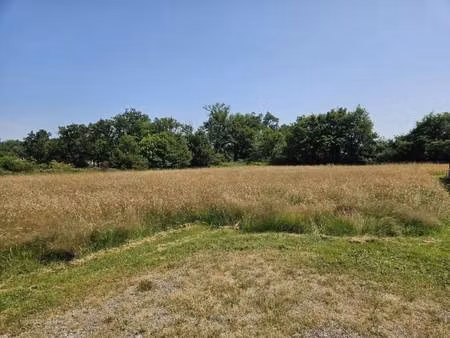 terrain constructible viabilisé à vendre