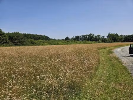 terrain constructible viabilisé à vendre