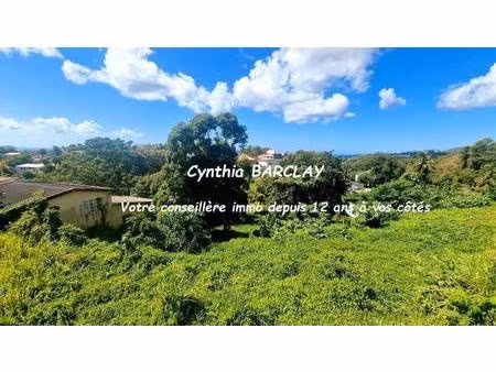 terrain constructible à vendre