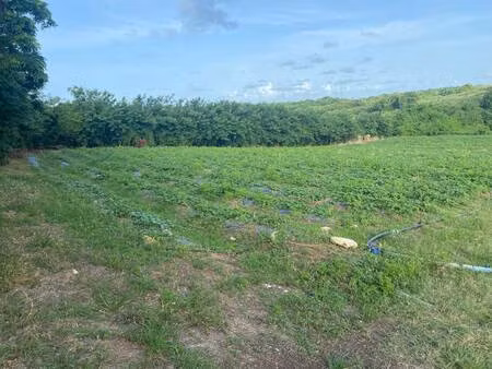 terrain constructible à vendre