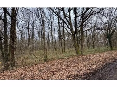 terrain langon m² t- à vendre  38 500 €