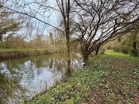 vente terrain à froidfond (85300) : à vendre / 5964m² froidfond