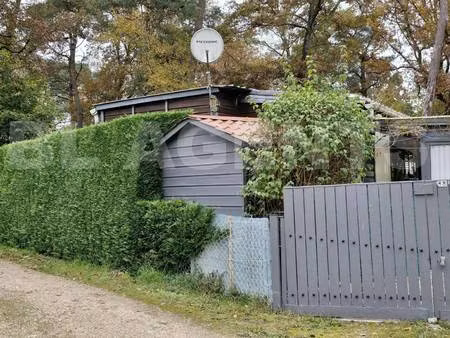 christophe pastor bl agents