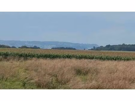 vente terrain à kerlaz (29100) : à vendre / kerlaz