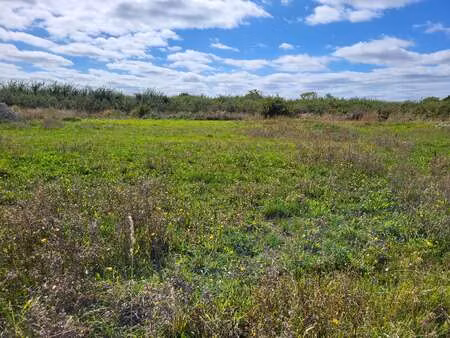 vente terrain à hirel (35120) : à vendre / hirel