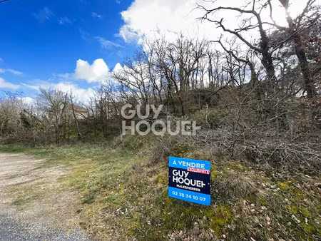 vente terrain 2358 m² à milly-la-forêt (91490)  35 000 €