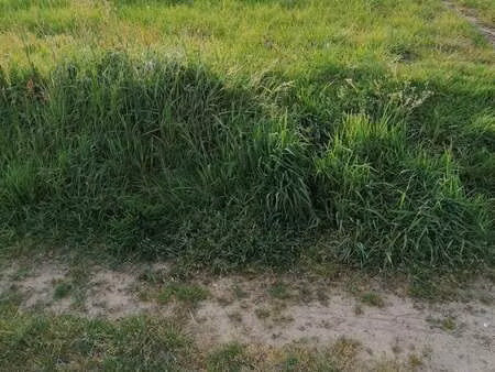 vente terrain à riantec (56670) : à vendre / riantec