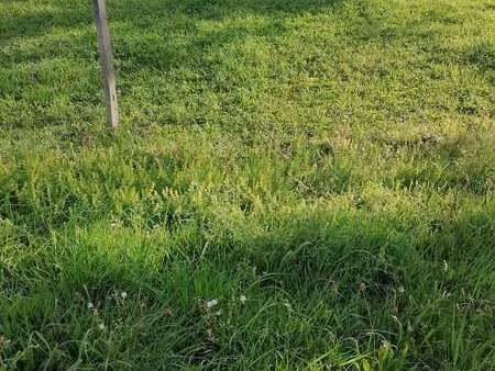 vente terrain à sainte-hélène (56700) : à vendre / sainte-hélène