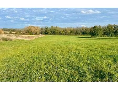 terrain constructible viabilisé à vendre