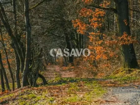 vente terrain 5167 m² à sadirac (33670)  72 500 €