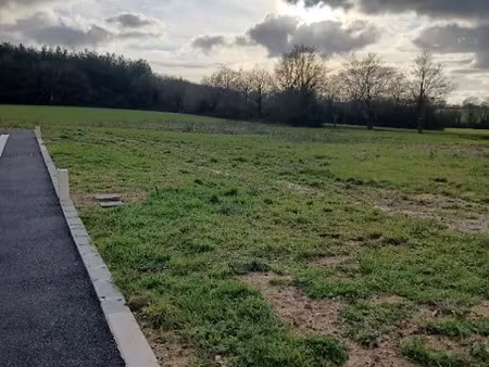 vente terrain 600 m² à falleron (85670)  59 000 €