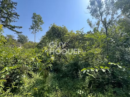 vente terrain 956 m² à milly-la-forêt (91490)  66 000 €