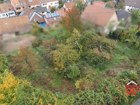 vente terrain à batir 584 m² à neubois (67220)  69 440 €