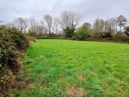 terrain constructible viabilisé à vendre