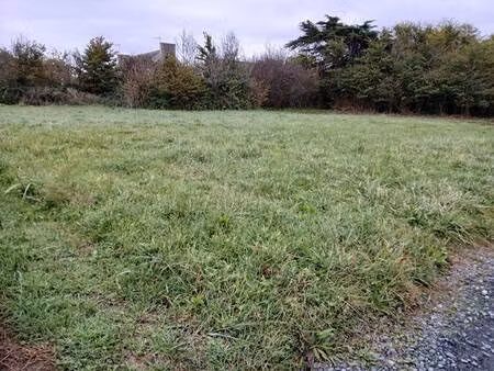 terrain à vendre