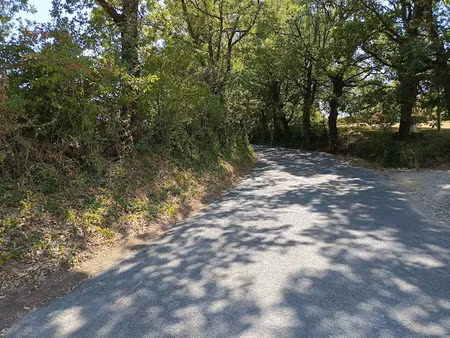 vente terrain 1264 m² à saix (81710)  69 000 €